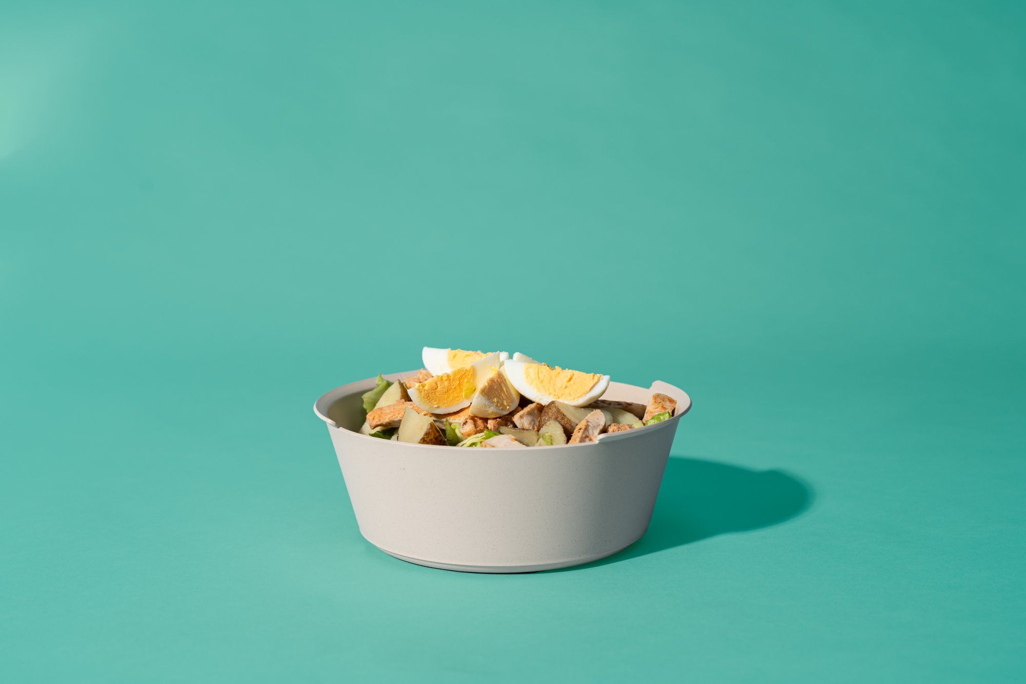 CirculBowl CB1200